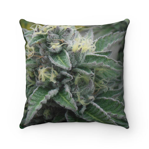 The Rasta Bowl Lemon Nug Suede Pillow